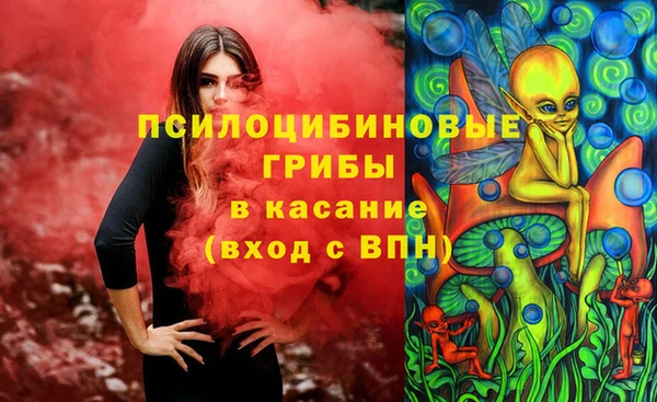 молекула духа Покачи