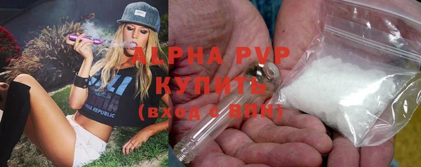 молекула духа Алексин