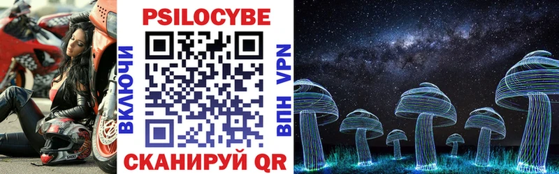 Псилоцибиновые грибы Cubensis  как найти   Кириши 